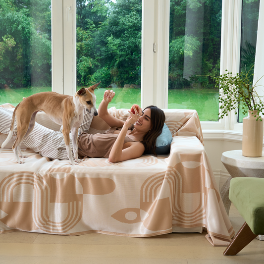 ChillGuard Sofa Covers for Pets